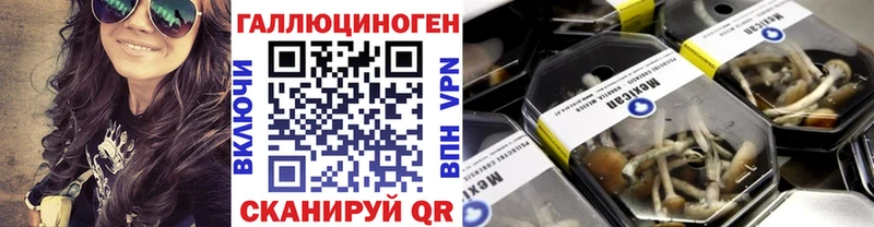 Псилоцибиновые грибы Cubensis  площадка наркотические препараты  Прокопьевск 
