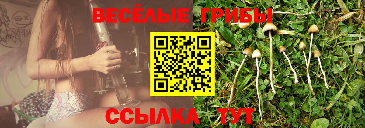 Прокопьевск  Галлюциногенные грибы Cubensis  Вход с VPN 