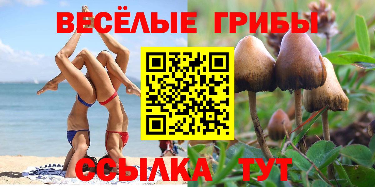 Псилоцибиновые грибы Psilocybine cubensis Прокопьевск