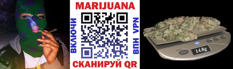 Конопля гибрид Прокопьевск